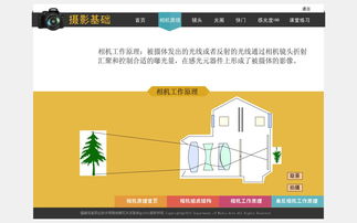 多媒體設(shè)計與制作專業(yè) 探索移動應(yīng)用與廣告媒體的視覺創(chuàng)意世界